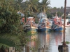 Fishing Boats